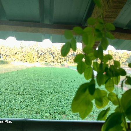 Ocean Sparrow Beach Stay Gokarna  Pokoj fotografie