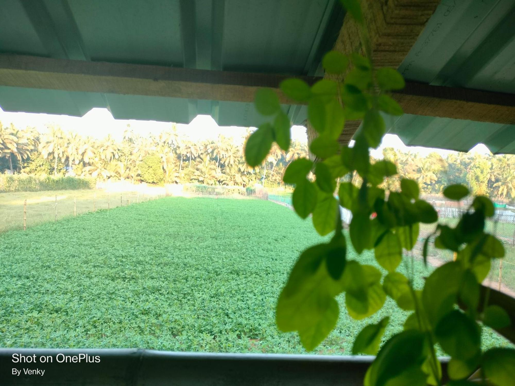 Ocean Sparrow Beach Stay Gokarna  Pokoj fotografie